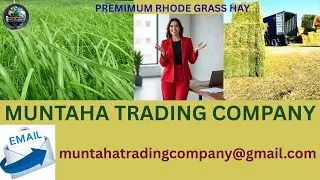 Premium Rhodes Grass Hay for Animal Feed | Export by Muntaha Trading Company, Karachi, Pakistan