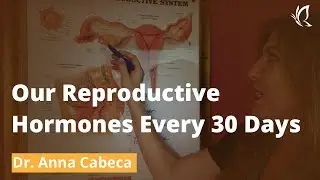 Our Reproductive Hormones Every 30 Days