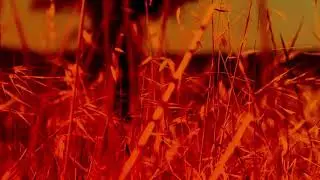 Andreas Voelk | Musikreise | Mallos de Riglos