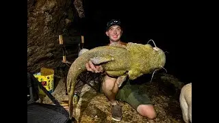 🔥40lb flathead catfish on the brazos river (BIG CATFISH)🔥