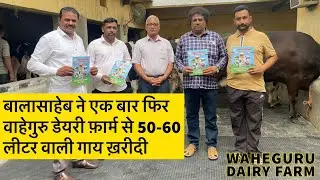 राजगुरु नगर के बालासाहेब जवालेकर ने एक बार फिर वाहेगुरु डेयरी फ़ार्म से 50-60 लीटर वाली गाय ख़रीदी