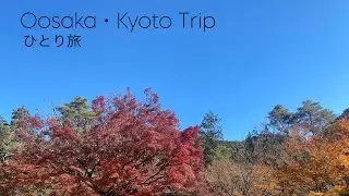 【ひとり旅Vlog】ユニバと､観光を楽しんだ2泊3日