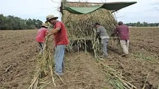 Maha to ban new Marathwada sugar mills for 5 yrs : NewspointTV