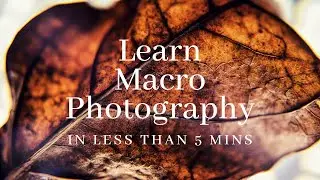 How to shoot Macro in less than 5 minutes!!!