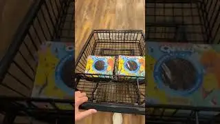 Limited Edition Pok&eacute;mon Oreos #Shorts