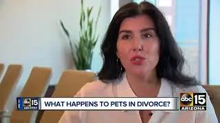 Who keeps the pets after a divorce under Arizona law?