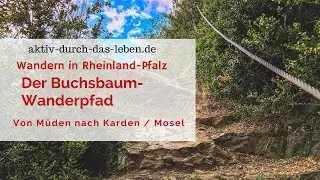 Der Buchsbaumweg Müden - Karden an der Mosel // Wandern // Outdoor // Rheinland-Pfalz