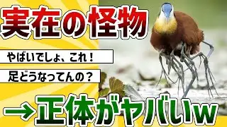 【2ch動物スレ】足が多すぎる鳥さんが怖すぎた→その正体がヤバいｗ