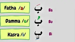 How Many Letters Are In The Arabic Alphabets?  #ArabicAlphabet #ArabicLetters #ArabicForBeginners