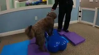 01-12-26 Bentley G.  Balance & Coordination