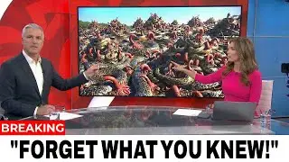 LEAKED Footage From Florida’s Swamps Reveals a Horrifying Aftermath Nobody Saw Coming