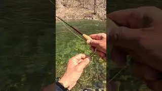 #shorts &ldquo;It Was My First Spring Trout, But&hellip;
