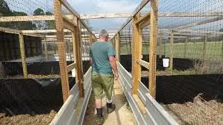 New Aviary