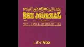 american bee journal