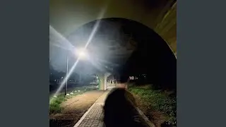 anima sola