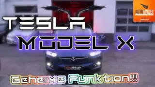 Celebration Mode Tesla Model X Coole Funktionen   www.Bremen-Automakler.de