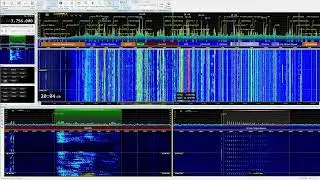 The Pip 3756kHz Network check 20:04UTC 24/Feb/2022