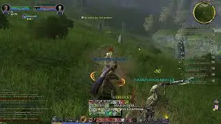 Herr der Ringe online, der Kommandant