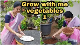 #letsgrow Vegetables-1/ beginners guide to grow different vegetables/నాతోపాటు పెంచండి #madgardener