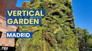 Green Wall in Spain I Unique Landscape