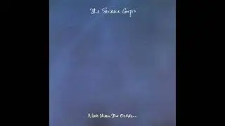 THE SNAKE CORPS - In Flux