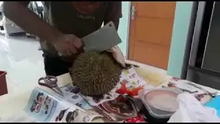 Tutorial Buka Doyan