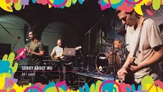 Sorry About Wu - All I Need / Live Crossover 2017