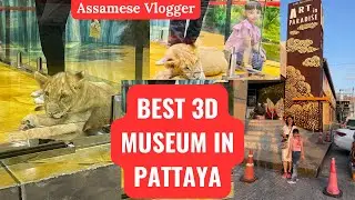 Art In Paradise In Pattaya||3D Art Museum||Assamese Vlogger Vlog.200 EP.03 #thailand #pattaya 