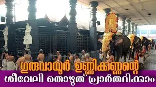 ഗുരുവായൂർ ക്ഷേത്രത്തിലെ ശീവേലിയും പ്രഭാത കാഴ്ച്ചകളും | 22/01/2026 | Guruvayur Temple Morning Shiveli