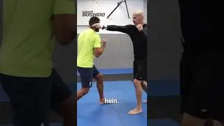 Esquivez tous les coups ! #karatebushido #gregmma #boxing