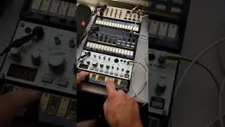 KORG Volca:Keys,Beats,Bass  #shorts #korgvolca