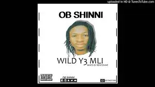 OB SHINNI-WILD Y3 MLI-MIXED BY BEATZSANE