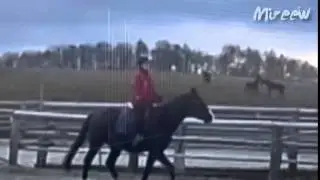 Impulse. [real horses]