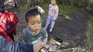  Pukemokemoke Bush Reserve 