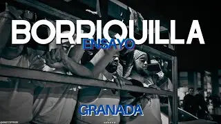 Ensayo de la Cuadrilla de la Borriquilla | Granada 2025