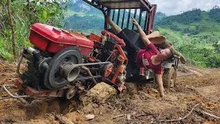 Agricultural vehicles carrying timber harvest and transport large trees