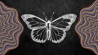The Butterfly Effect EXPLAINED: And How it Can Change Your Life!