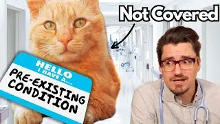 Preexisting Condition? should you get Pet Insurance?