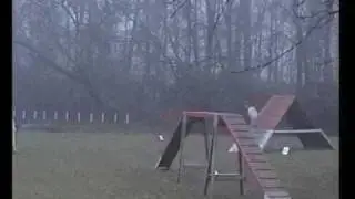 TAP Oxy