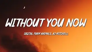 Digital Farm Animals, AJ Mitchell - Without You Now (Lyrics)
