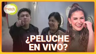 Jim Velásquez y Alina Lozano nos sorprendieron con su promesa si son salvados | Despierta América