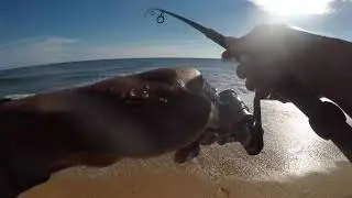 Catching trout of the beach(Flagler beach,FL)