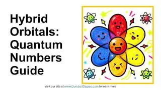 What quantum numbers underlie orbital hybridization?