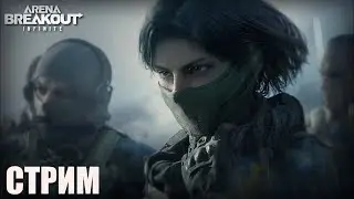 Пук Arena Breakout Infinite