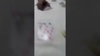 palakasan ng tsamba s larong baraha