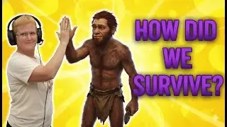 Laugh and Learn: Evolution vs. Creation - A Humorous Take on Humanity