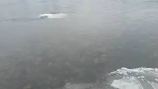 Забереги
