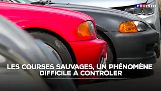 Les courses sauvages, un ph&eacute;nom&egrave;ne difficile &agrave; contr&ocirc;ler｜TF1 INFO