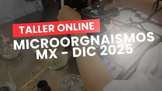 Taller online microorganismos