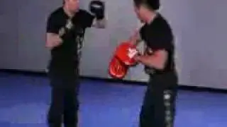 Cold Steel - Ron Balicki's Jun Fan Jeet Kune Do DVD